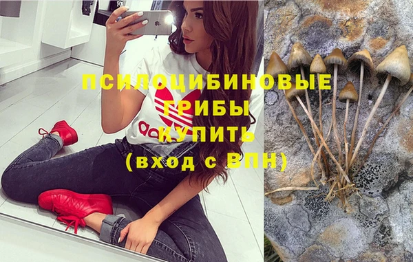 МДПВ Арсеньев